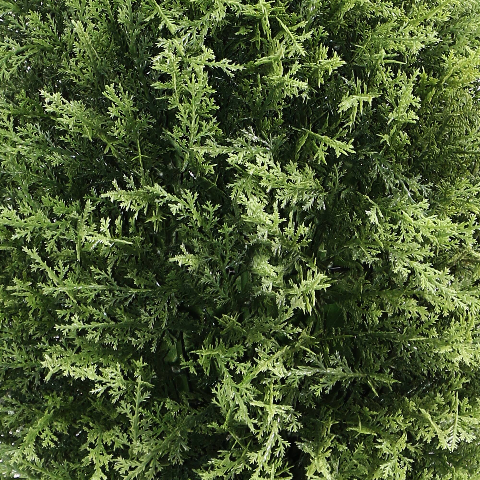 26" Cypress Tree